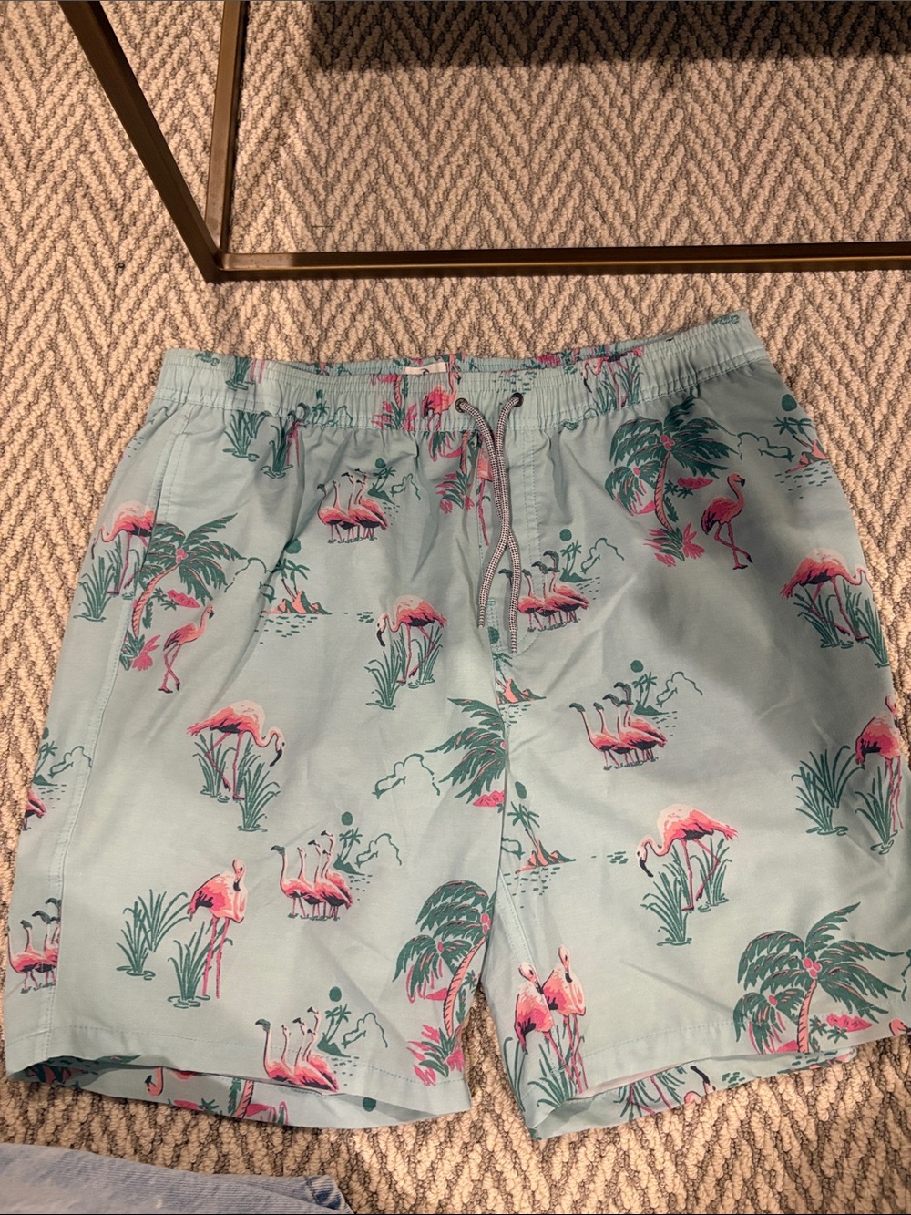 Rip Curl Light Blue Flamingo Print Swim Trunks
